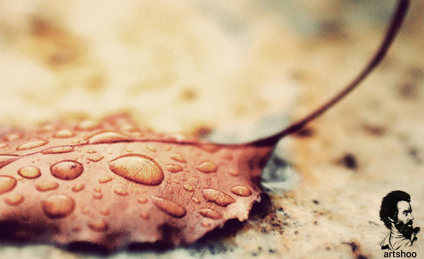 مدل رنگ روغن اورژینال آب